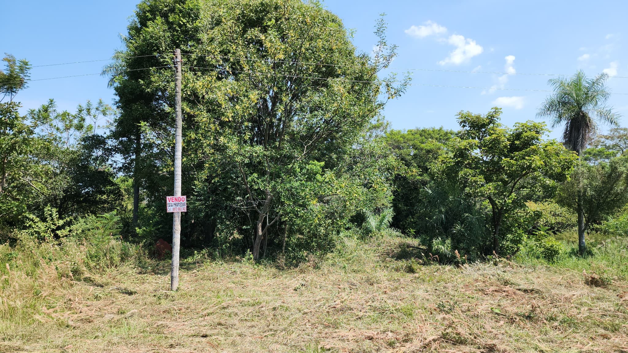 Vendo Terreno En Paraguari, Caacupe Y Limpio