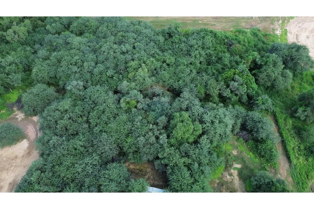 Terreno - Venta - Paraguay Boquerón Loma Plata