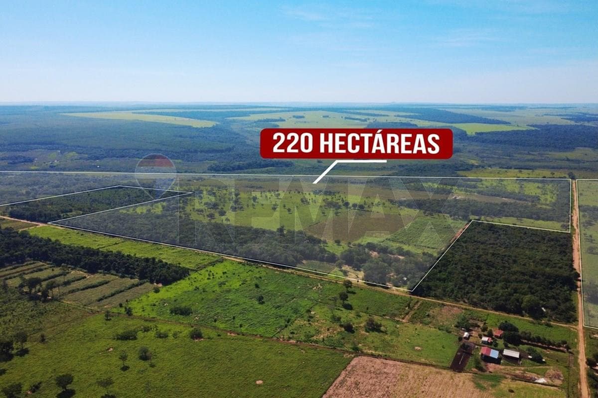 En Venta - Finca Agrícola -San Estanislao, San Pedro, Paraguay