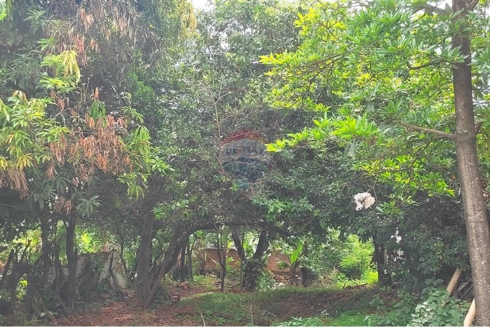 Terreno en Ñemby a mertos de acceso sur