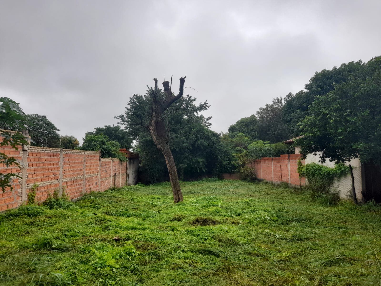 Vendo terreno en San Lorenzo- barrio san miguel