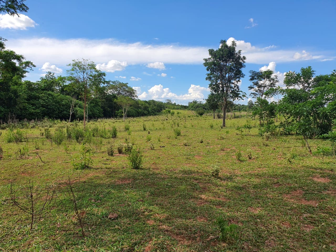 Santaní – 10 Has a 2 km de Ruta 8
