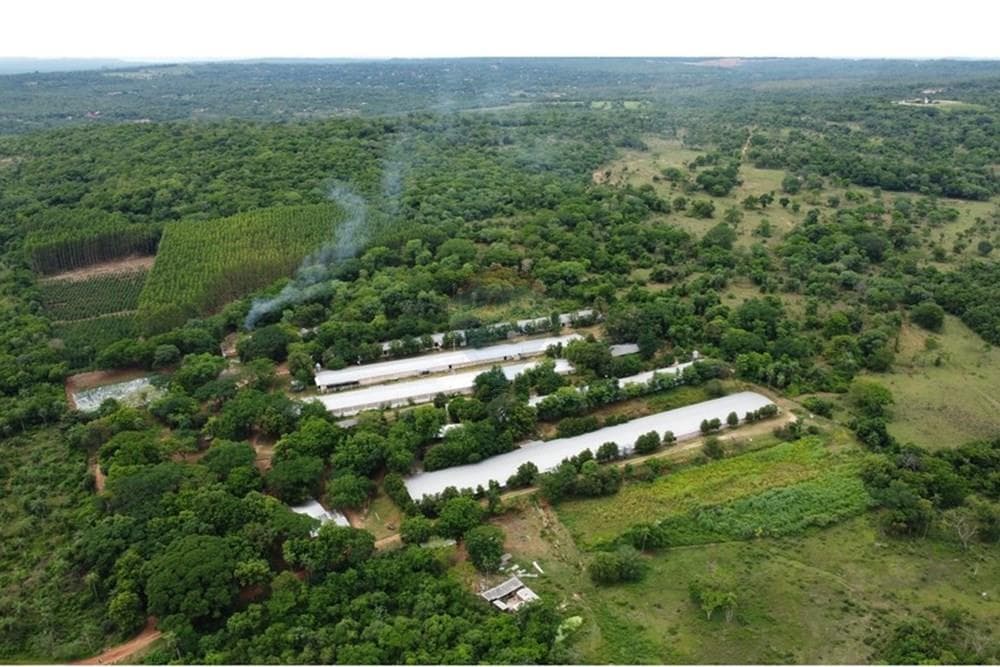 Estancia/Campo - Venta - Paraguay Cordillera Altos