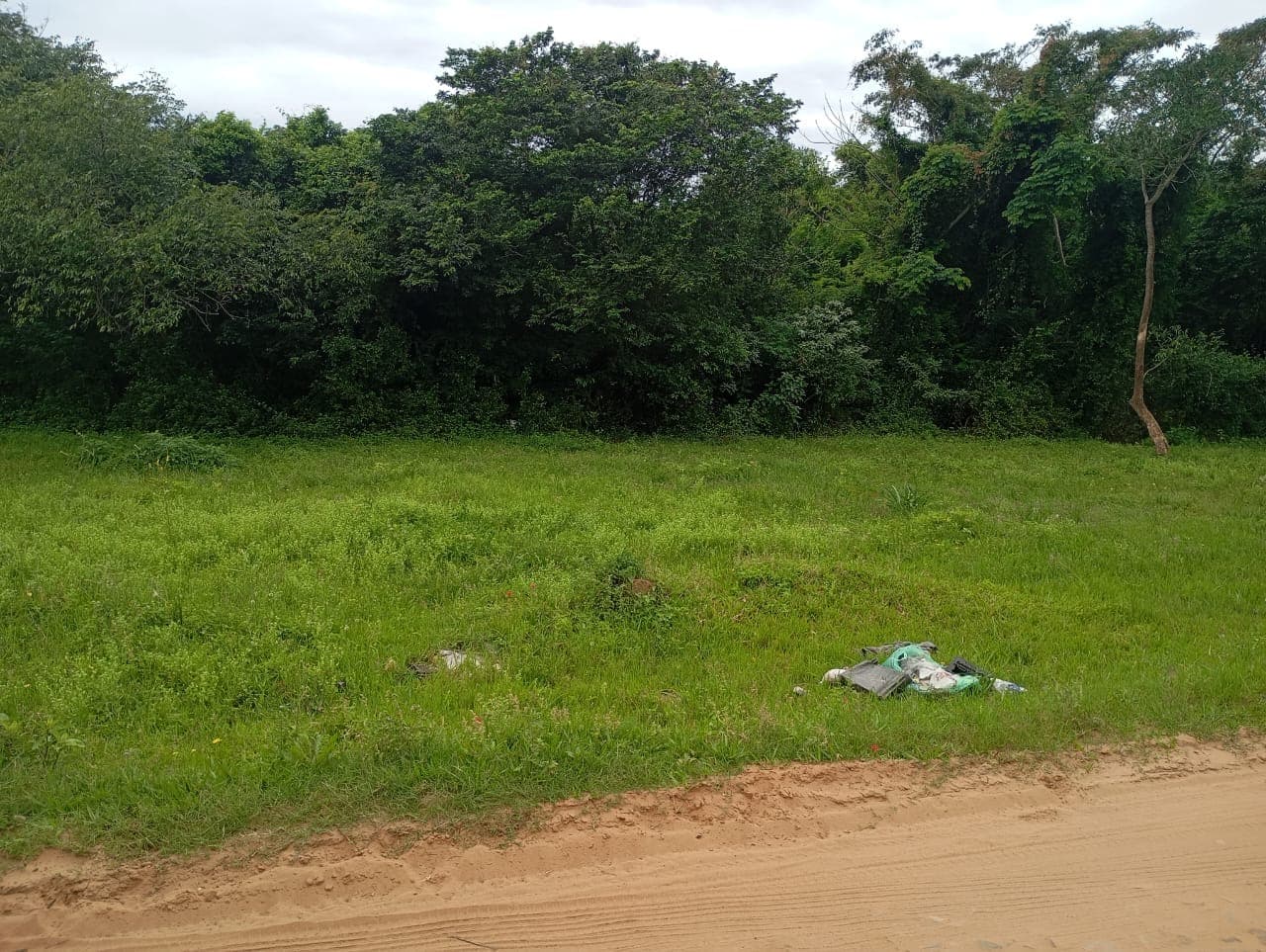 Vendo terreno en zarate isla - Luque