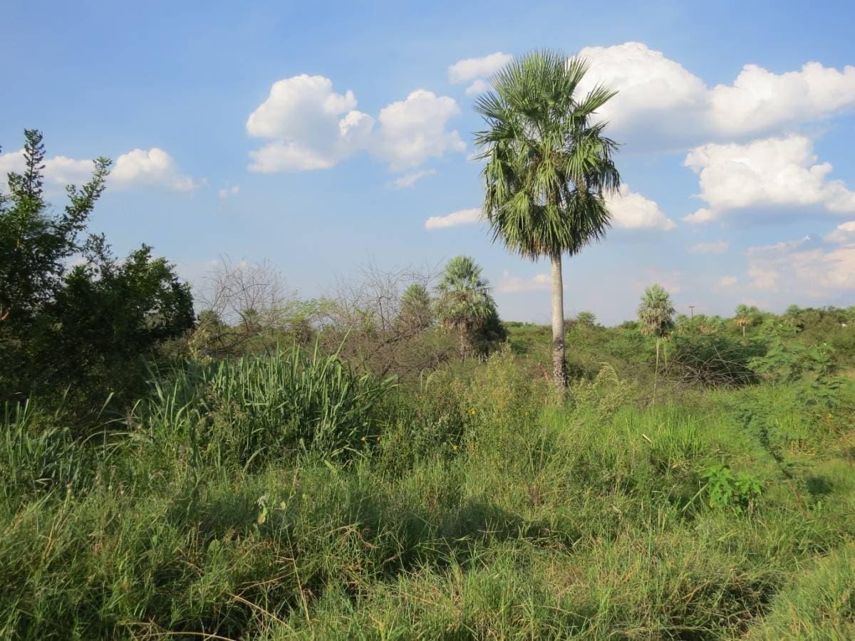 Se venden 2 terrenos juntos ubicados en la ciudad de Limpio