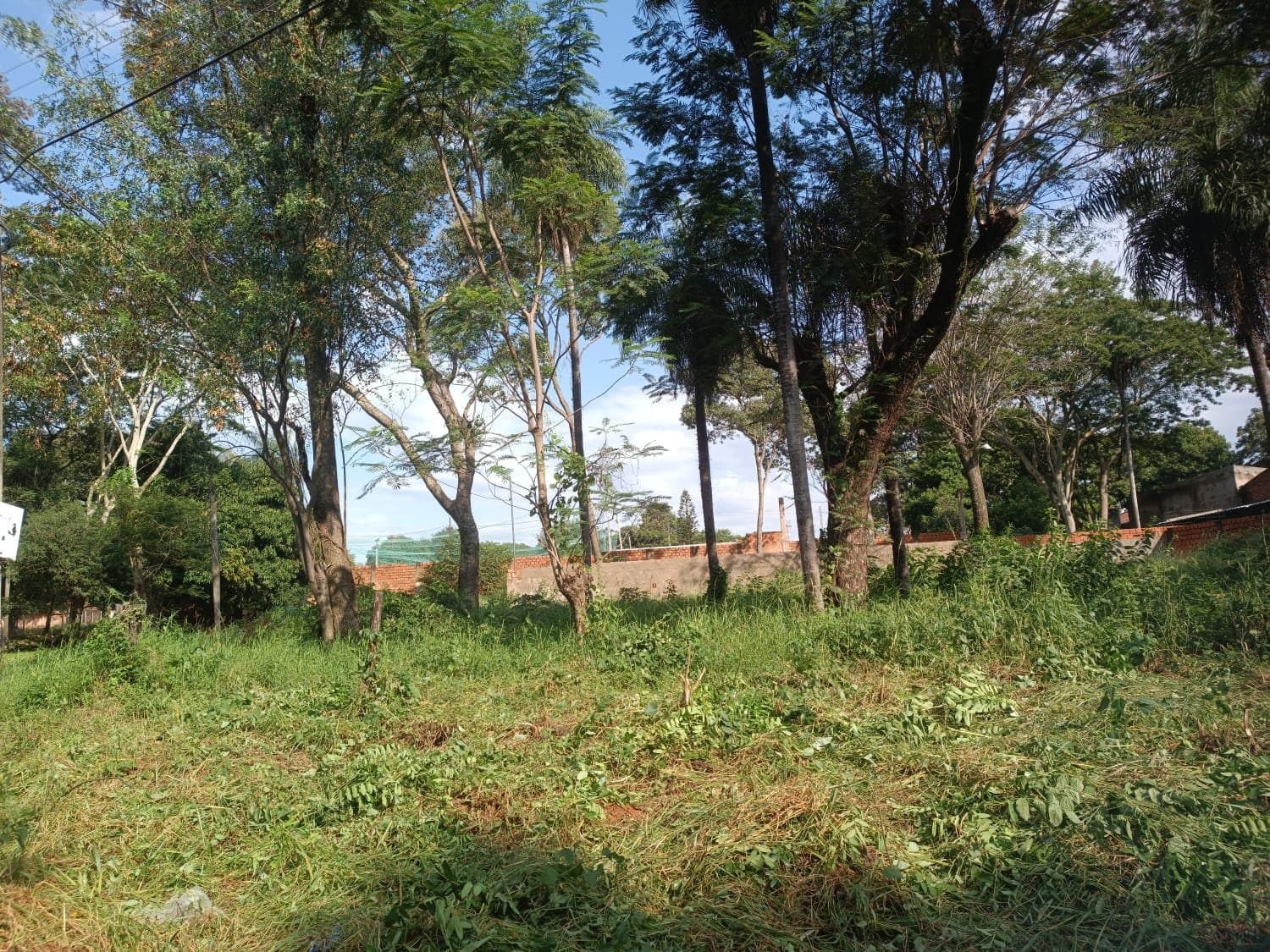 Hermoso terreno esquina en Barrio Caaguazu Ñemby