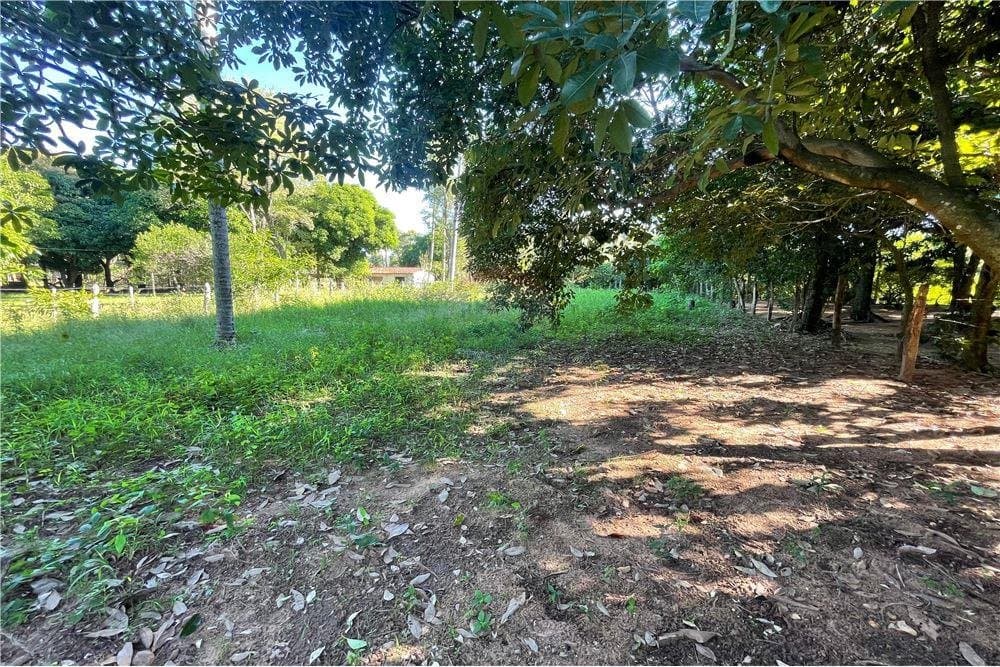 Terreno en Venta en Ypacaraí - Camino a Pirayu