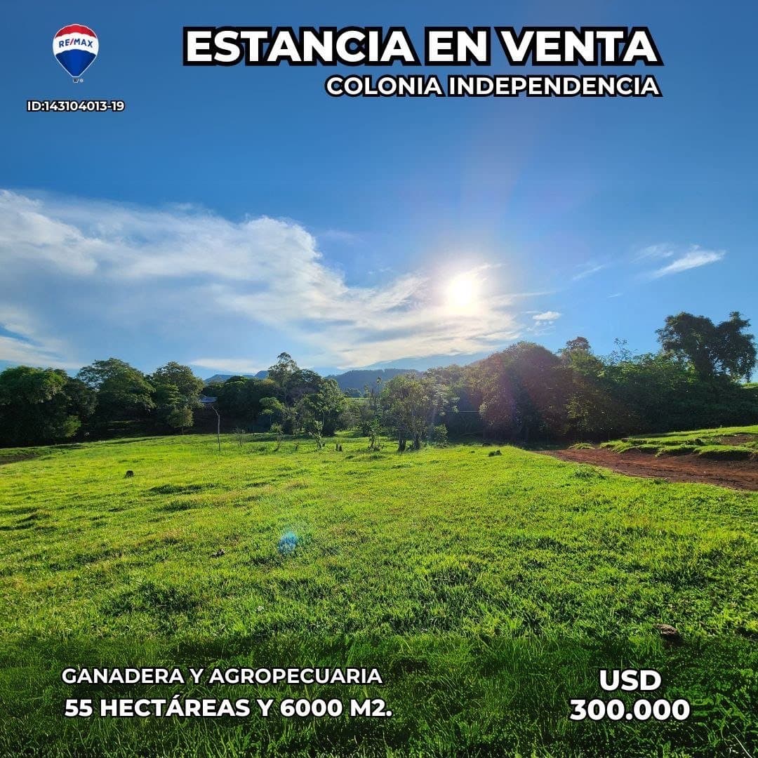 Vendo estancia ganadera en colonia independencia