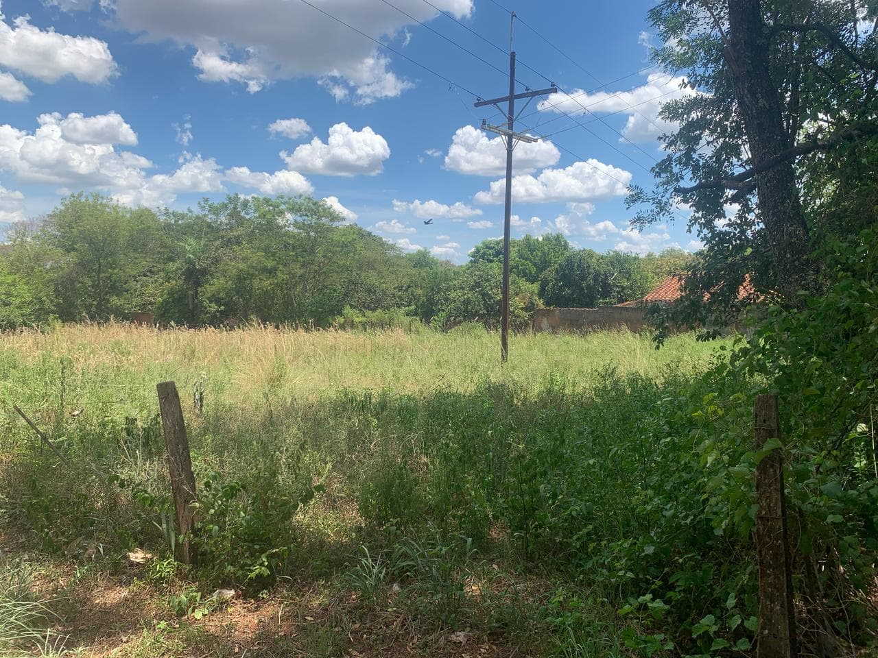 En Venta Terreno De 2.000 M2 En Paraguari Sobre Ruta 1