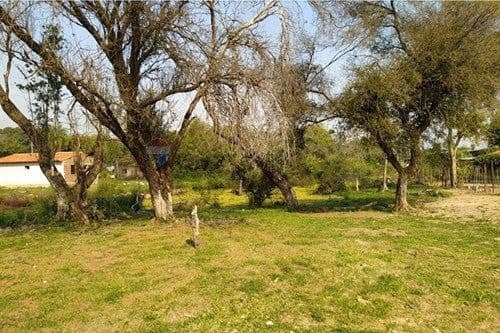 Terreno en venta, Luque