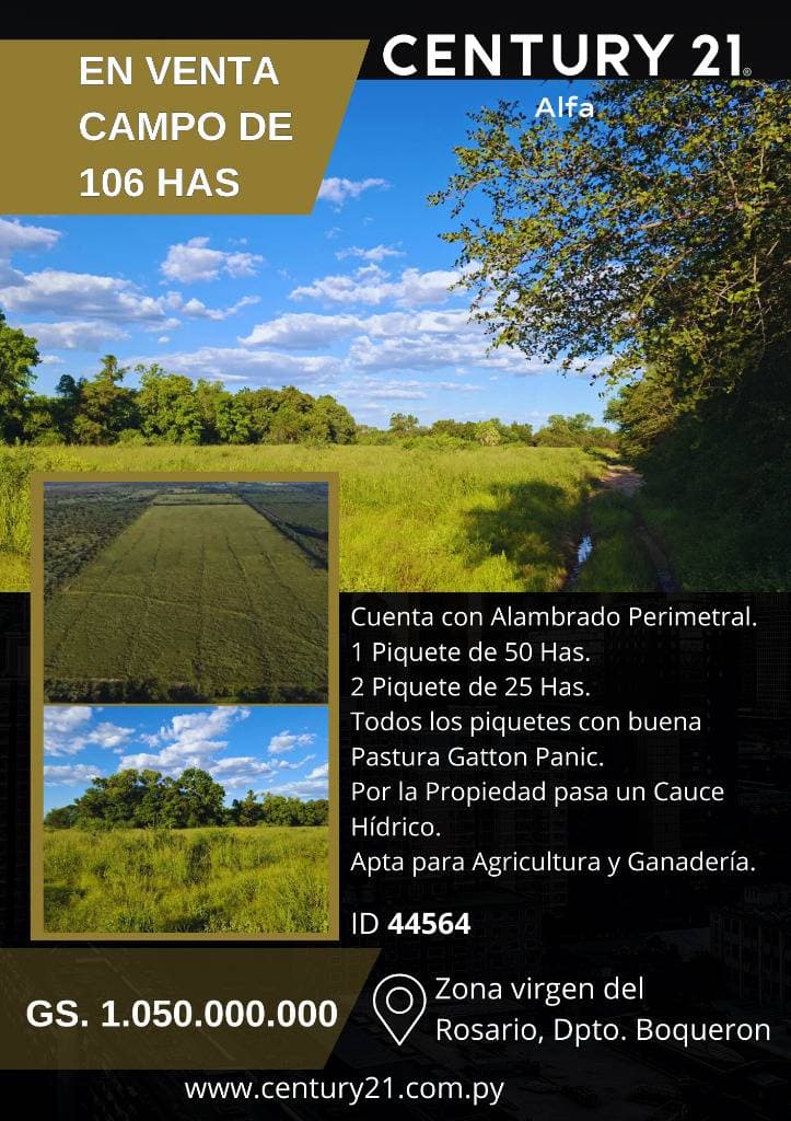 En venta campo con alto potencial