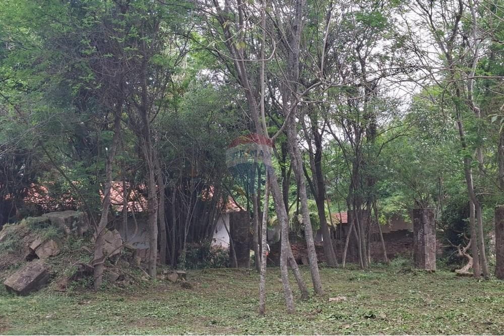 ¡Terreno en San Bernardino: Ensueños!
