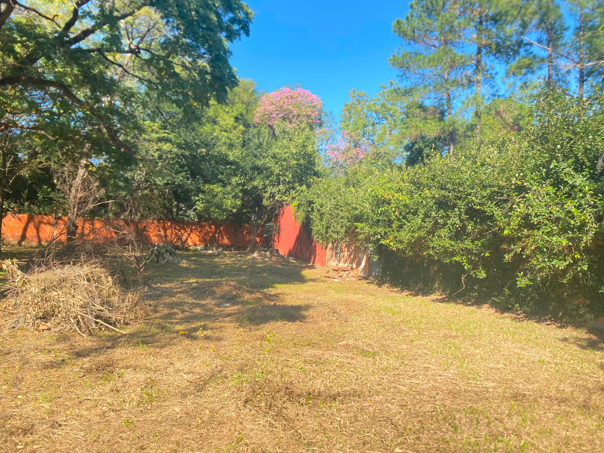 Terreno En Venta – ¡a Pasos Del Centro De San Lorenzo!