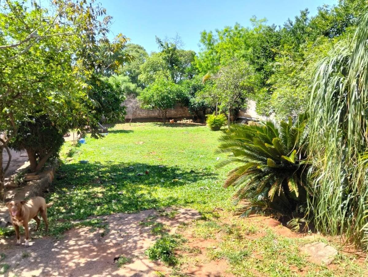 Venta terreno en Luque