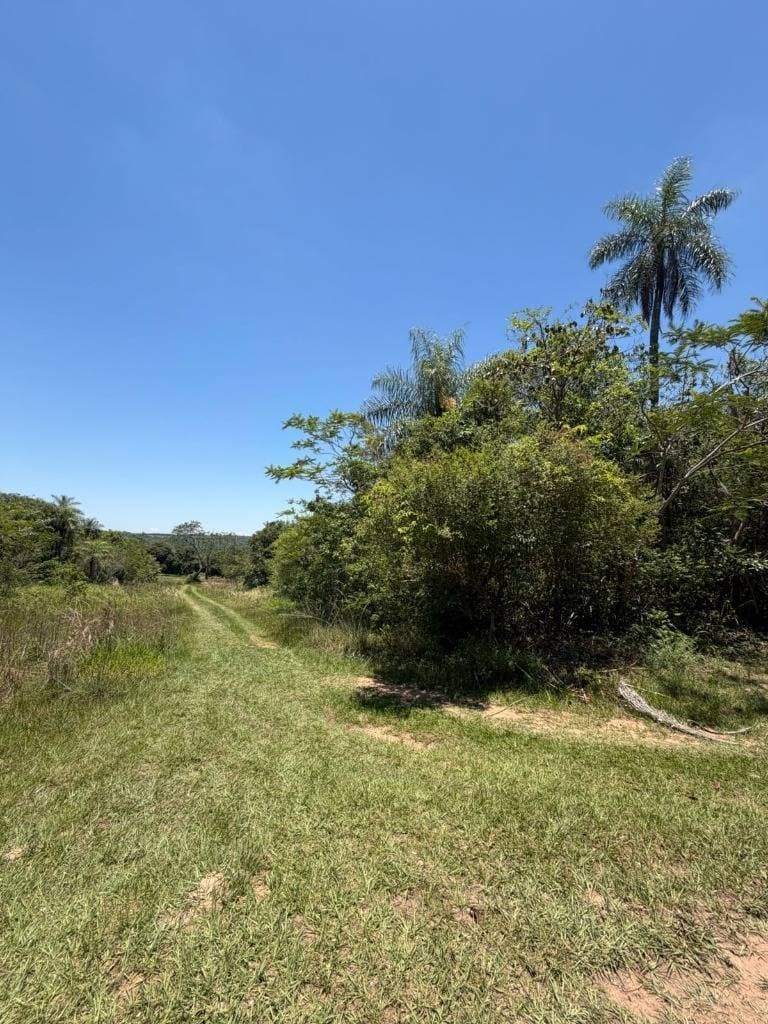 Venta de Terreno en Altos – Excelente Ubicación y Plusvalía