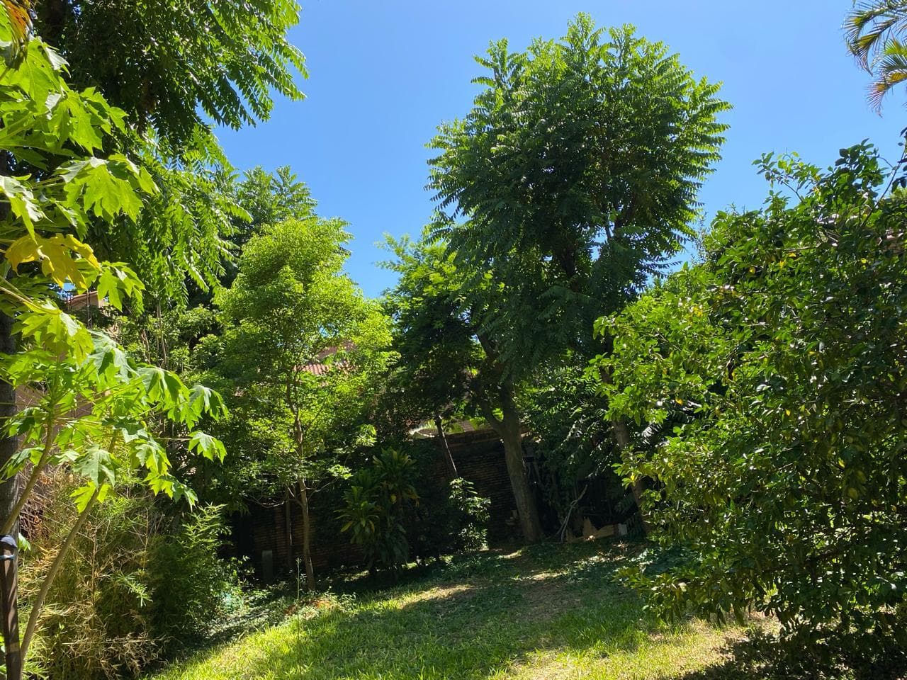Vendo en Mburucuya, excelente ubicación