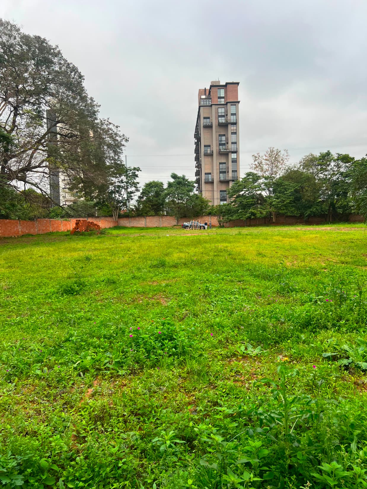 Alquilo terreno 6814m² sobre primer presidente, mburucuyá