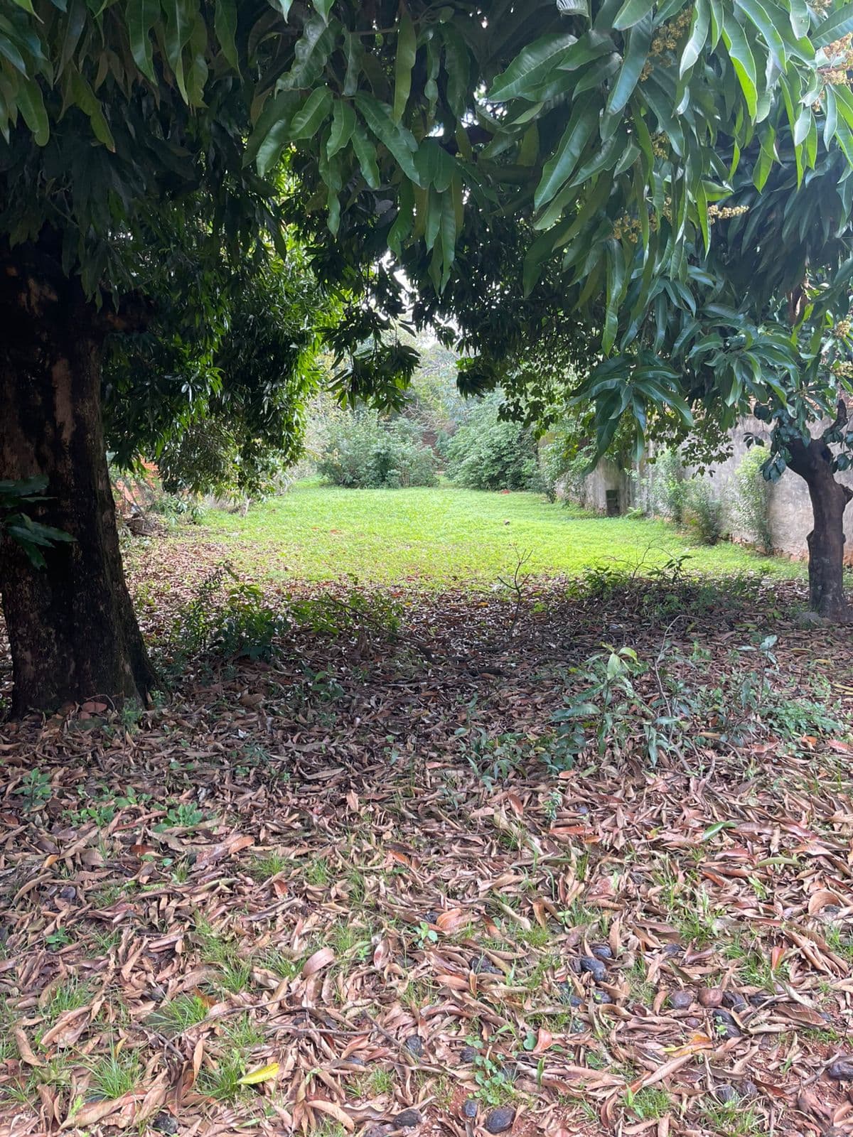 En Venta Terreno en Ñemby Zona Coca cola