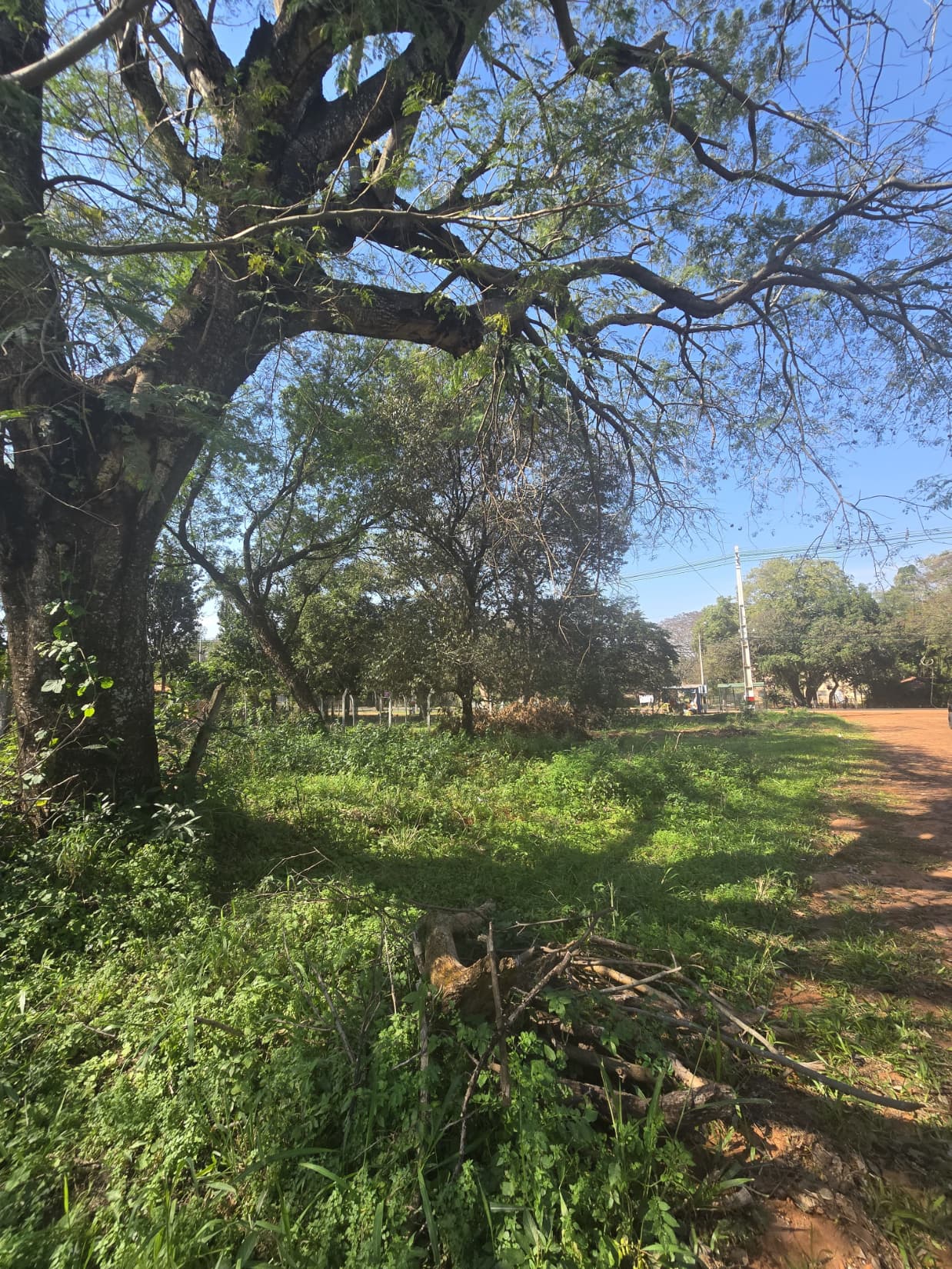 Vendo terreno sobre ruta en aregua