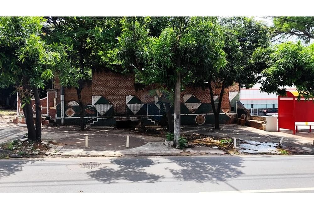 Vendo amplio terreno en san vicente sobre felix bogado