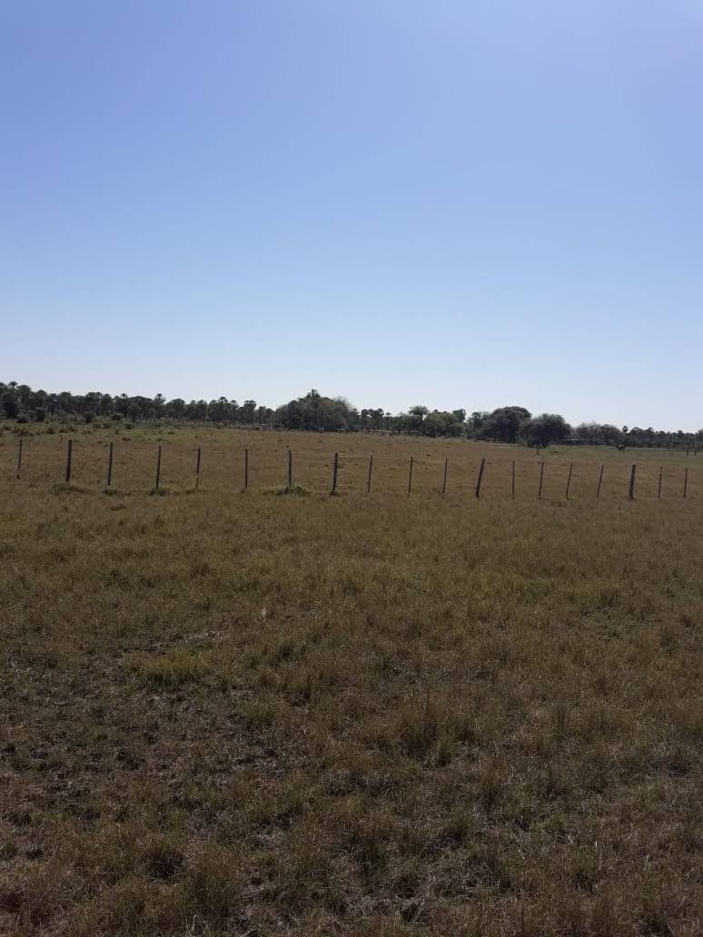 En Venta Estancia Fuerte Olimpo 6555 Hectareas
