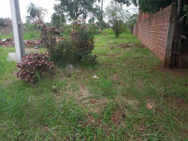 Vendo terreno en encarnacion