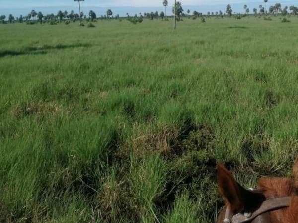 ¡vendo estancia en pdte. Hayes!