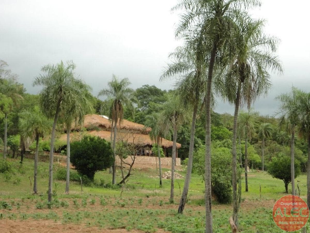 Altiplano De 5 Hectáreas Con Casa En Cerro Santo Tomás - Mbatoví