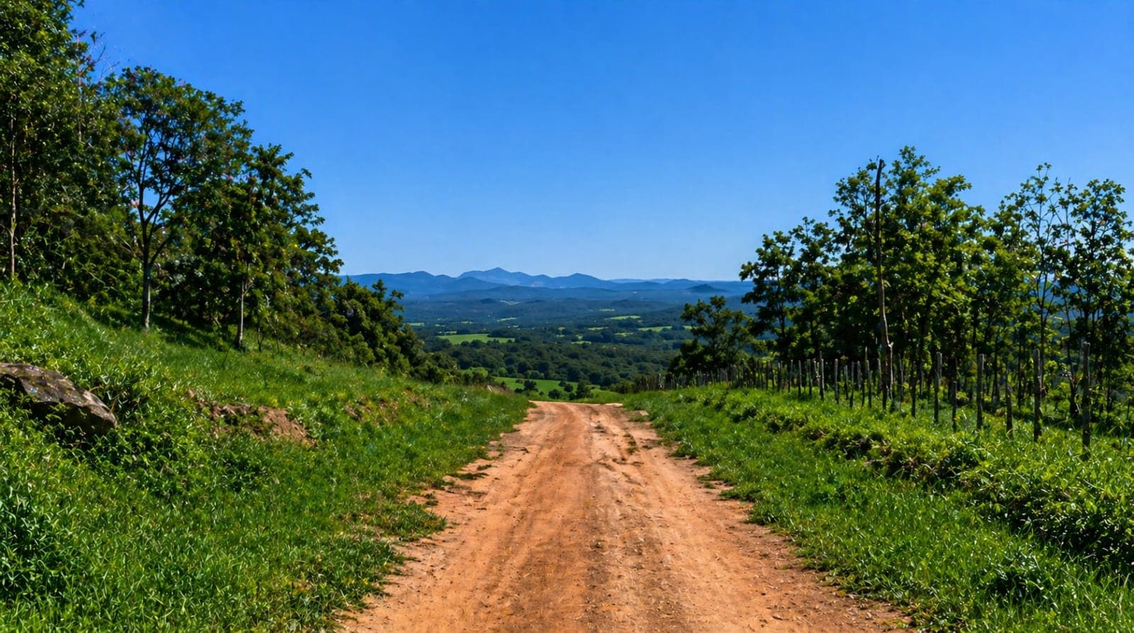 Vendo propiedad rural en paraguarí
