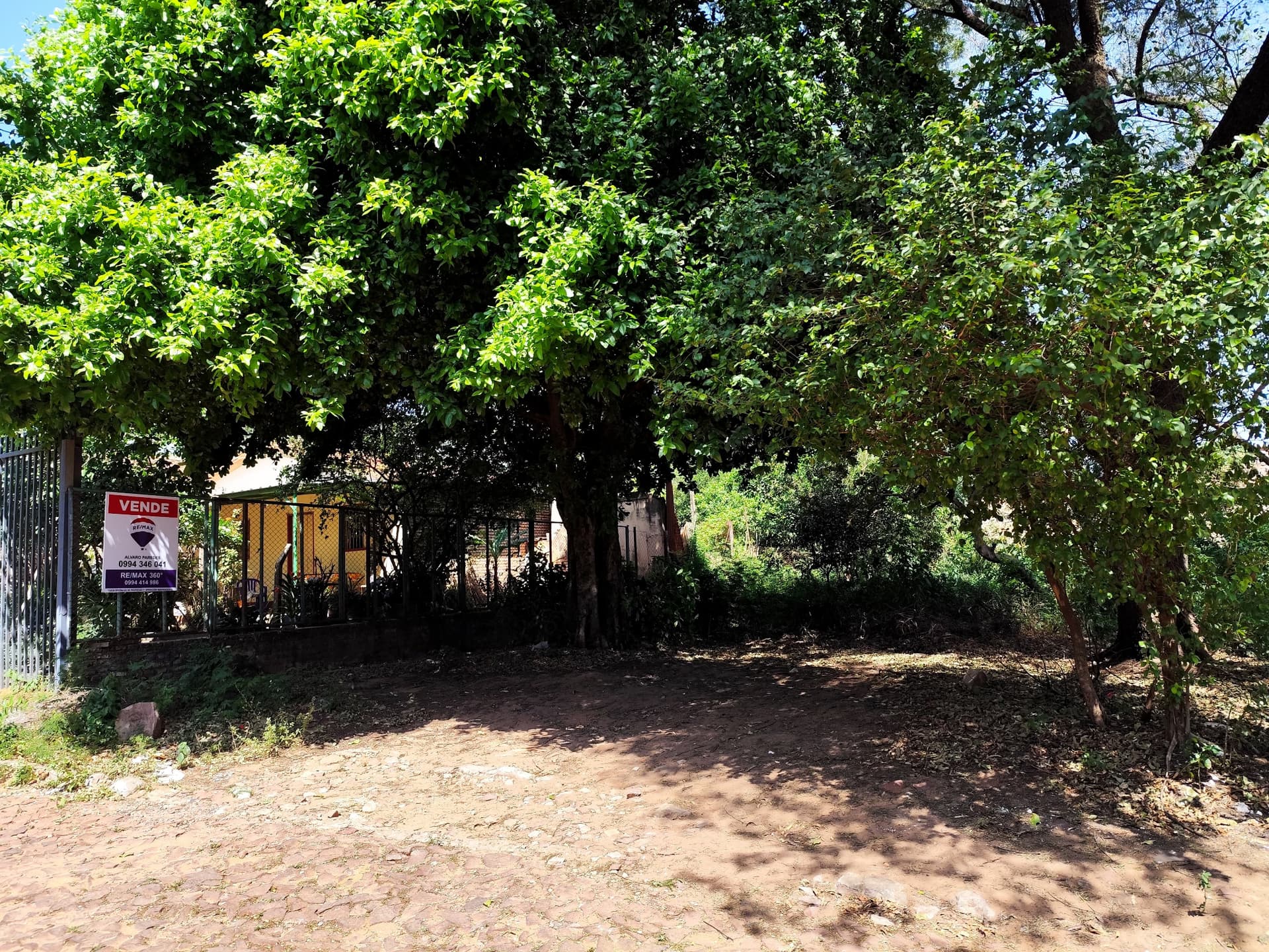 Terreno de 388m² a 30mts de Av. Avelino Martínez