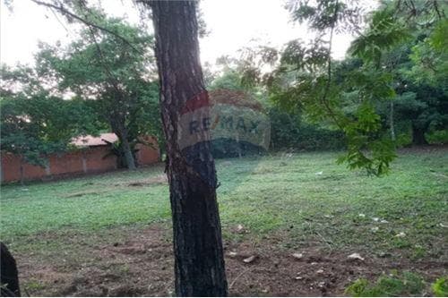 Vendo terreno en Luque isla bogado - Luque