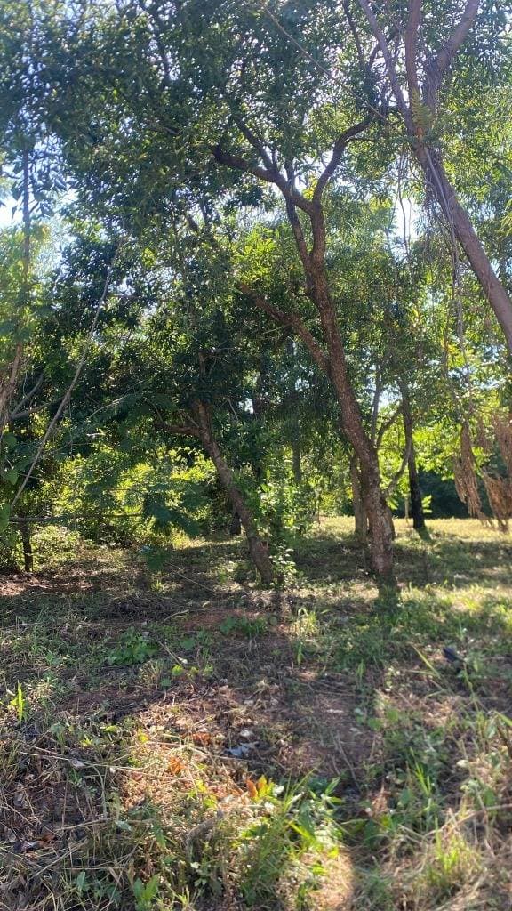 Terreno ideal para dúplex o primera vivienda – Luque