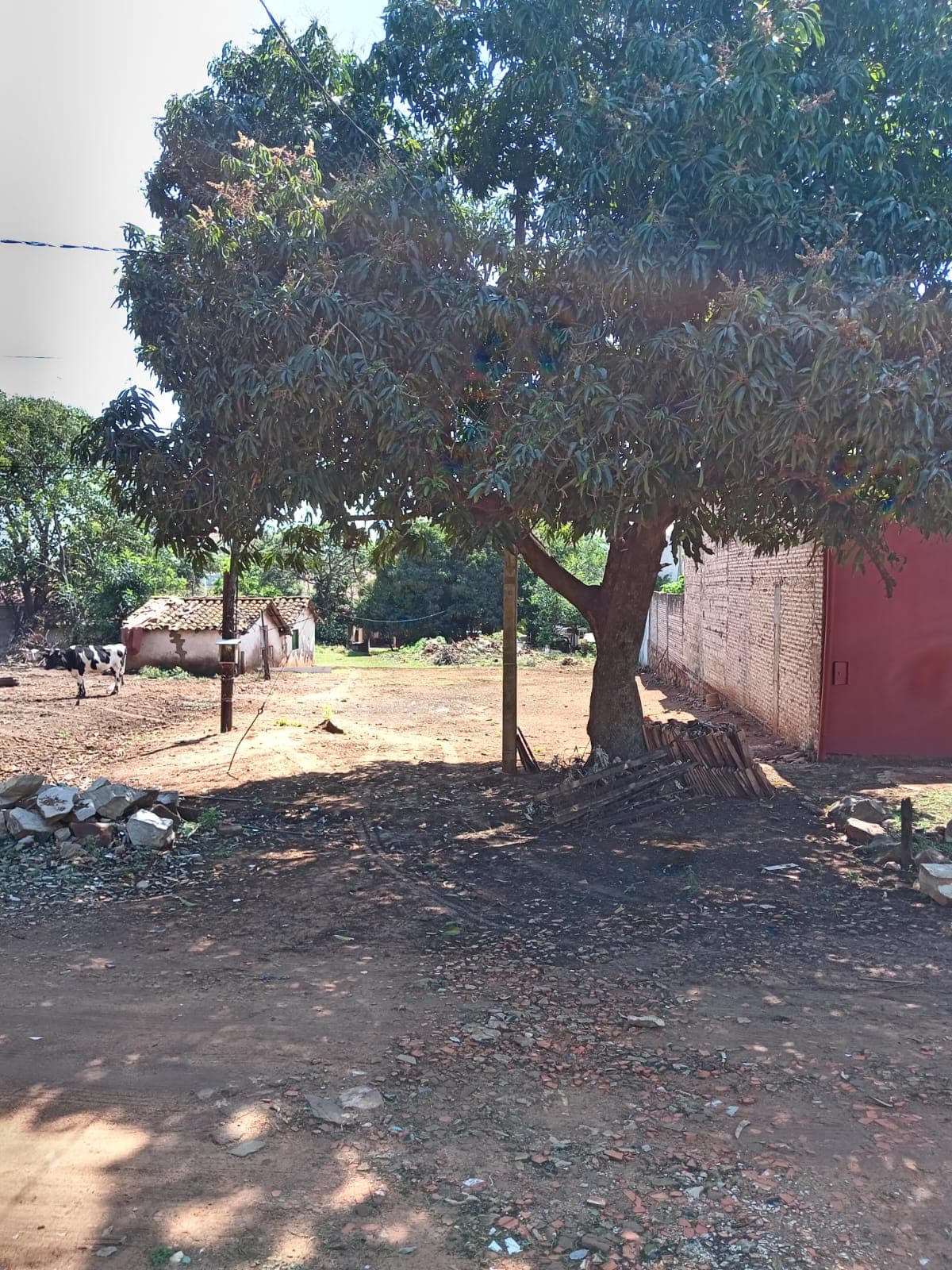 Terreno en laurelty - Luque en venta!!