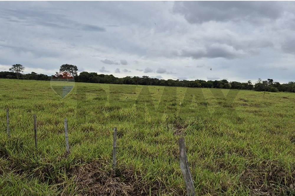 Vendo 220 hectareas en san estanislao