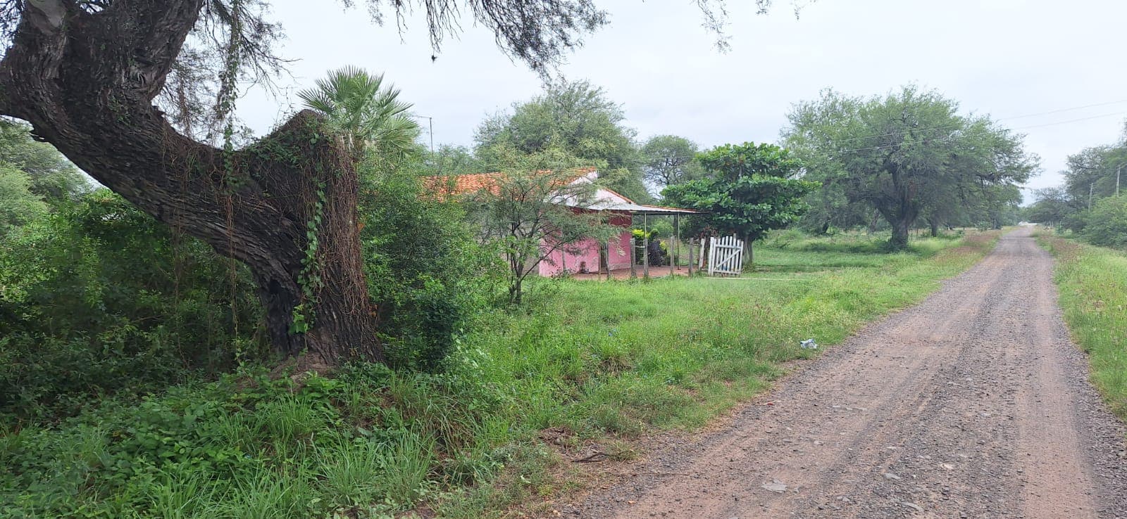 Terrenos en chacoí- puerto falcón