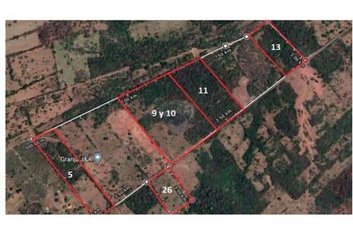 Vendo 14 hectareas en rutaa pirayu paraguari s.h.a