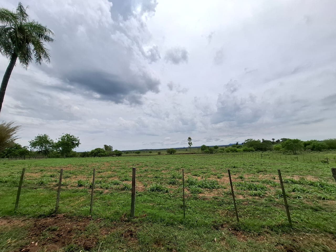 26 hectareas en ybycuí en venta