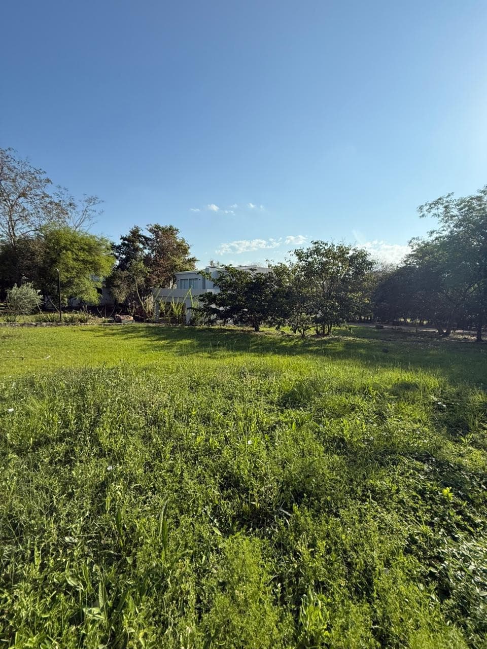 Vendo terreno de 566m2 en San Bernardino Sunset Hills