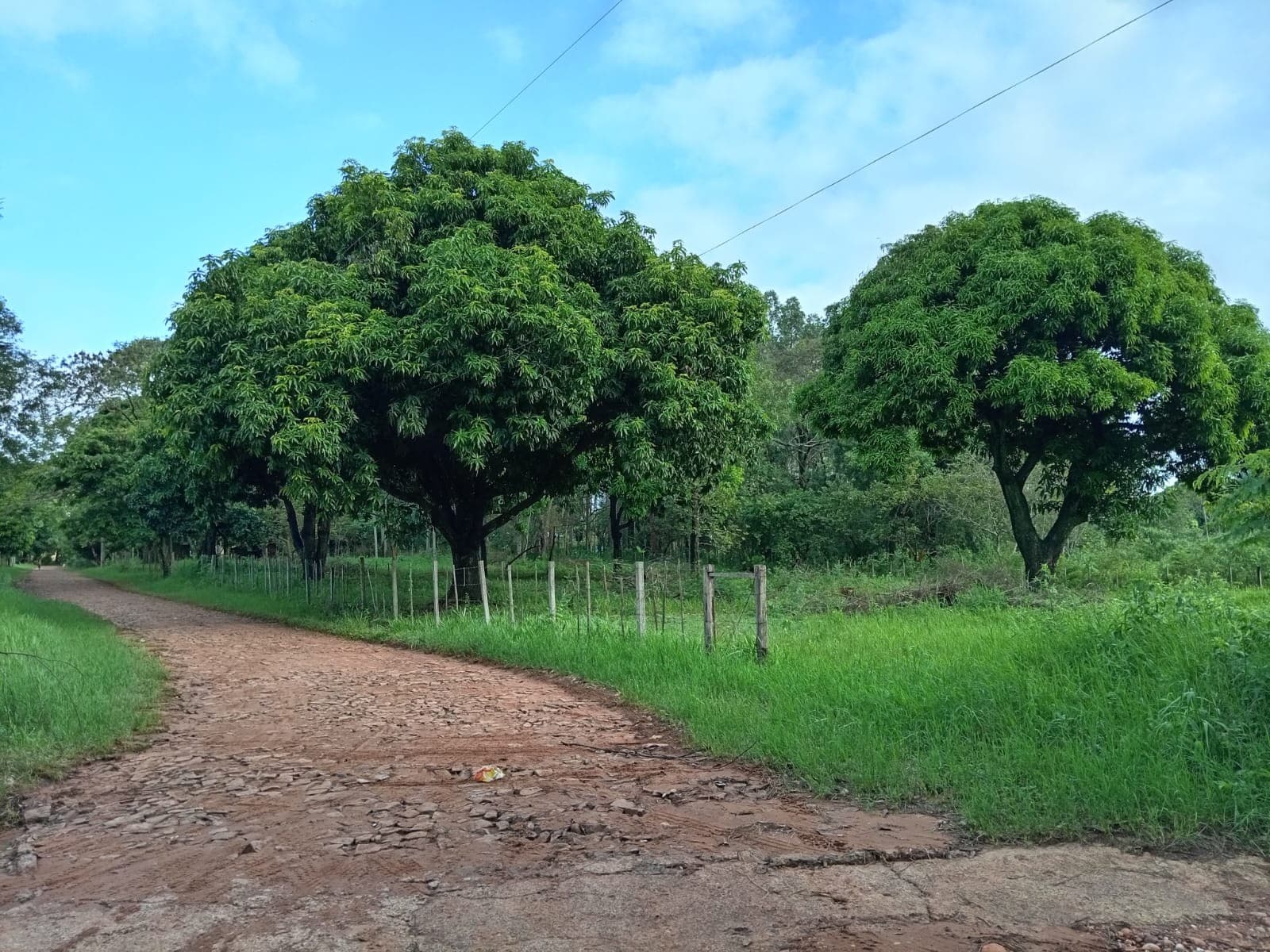 Vendo terreno zona potrero poi - caacupé