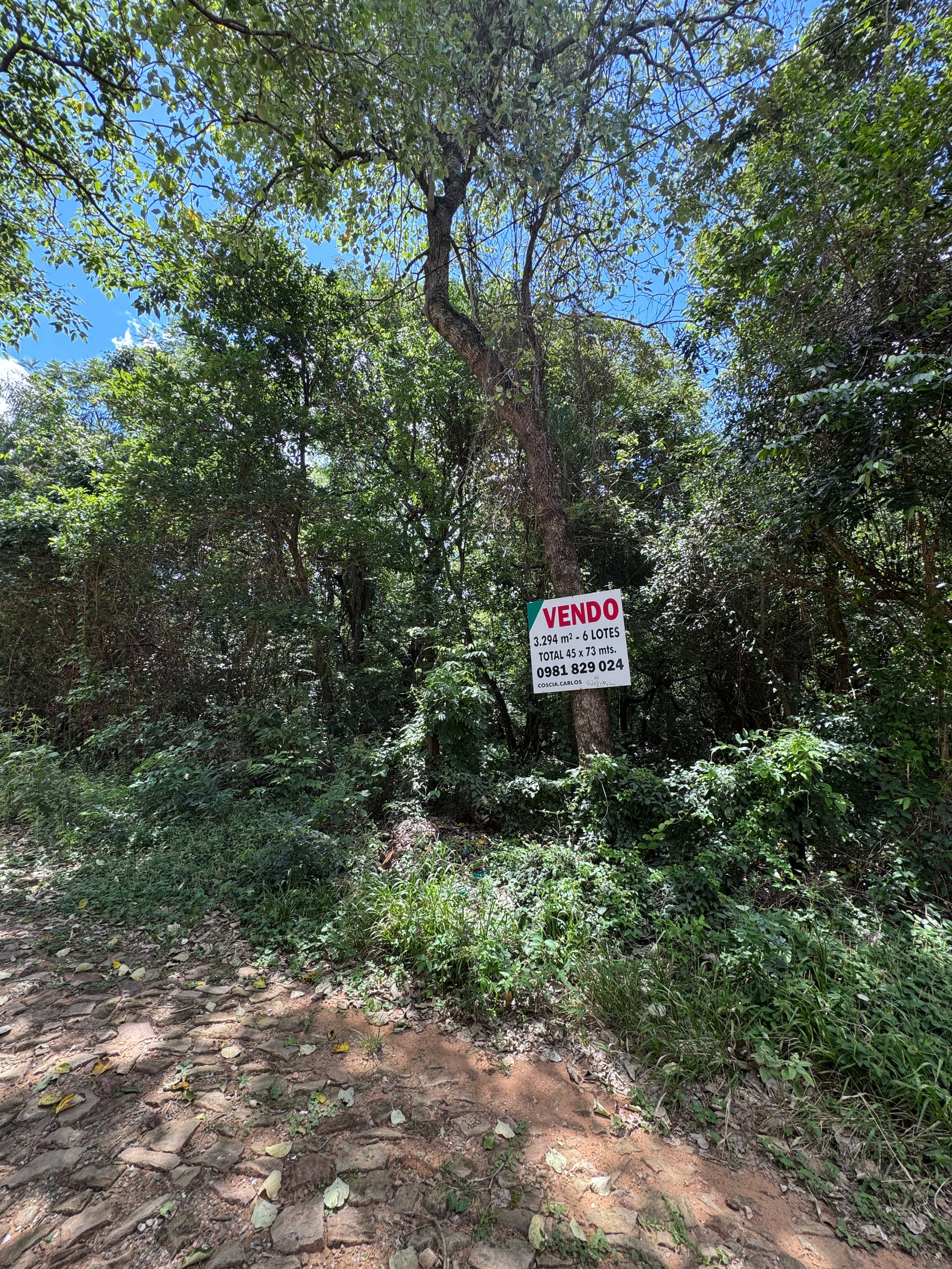 Venta de 6 lotes en San Bernardino – zona alta