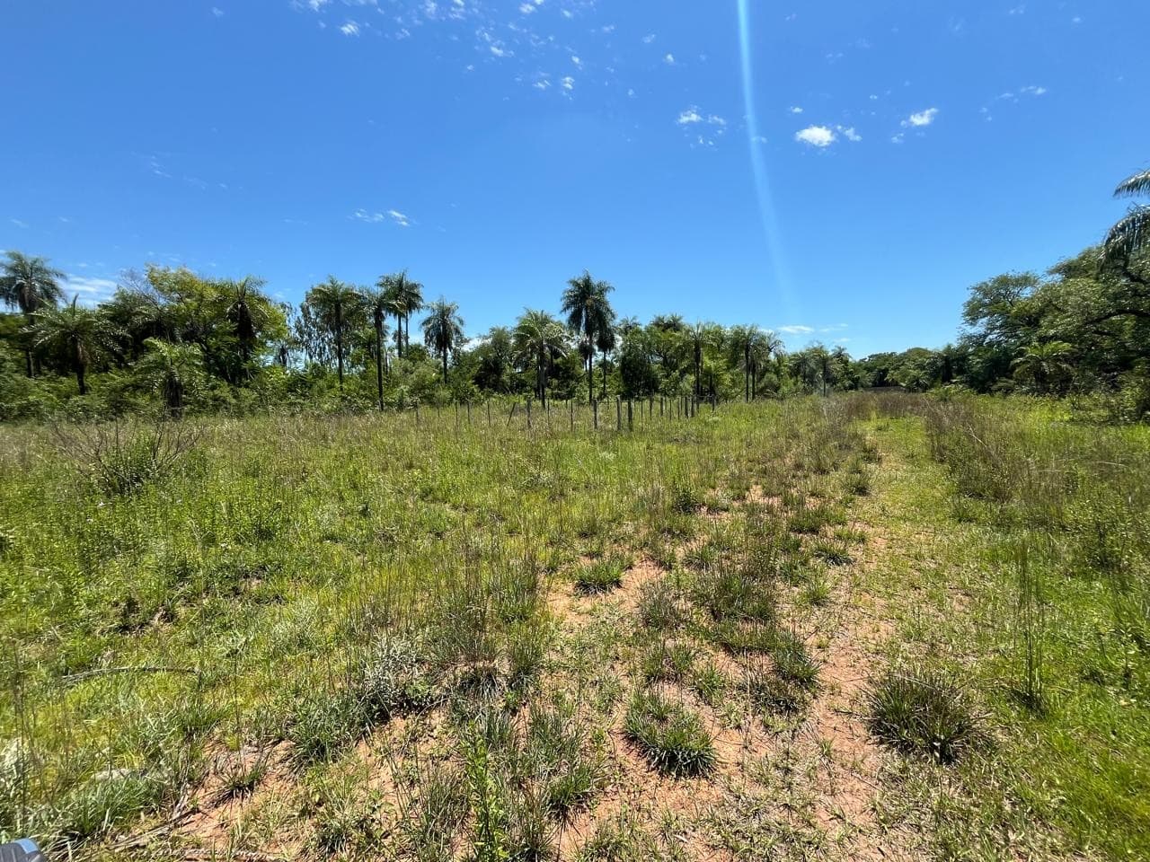 En venta terreno en San Bernardino