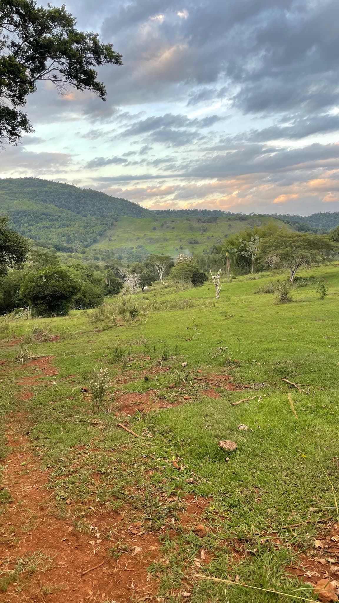 Finca en venta 43 hectáreas con manantial y arroyo en Colonia Independencia – Joveré – Paraguay