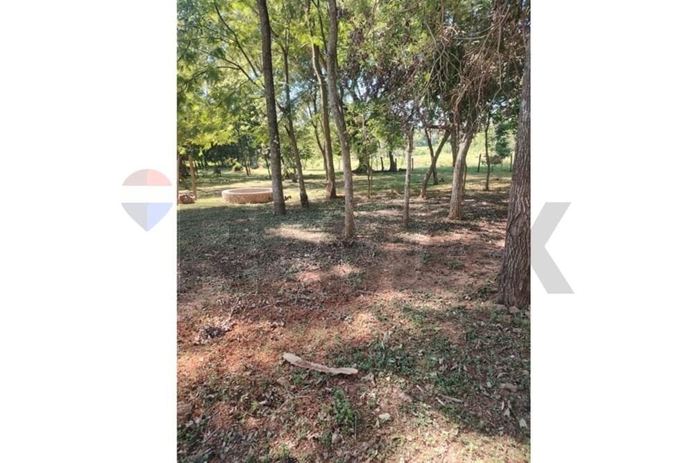 Venta