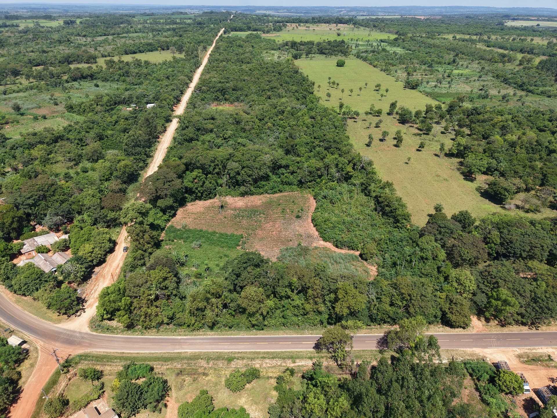 Vendo 10 Hectáreas Dr Cecilio Báez-Caaguazú Sobre Asfalto Por: 700 Millones