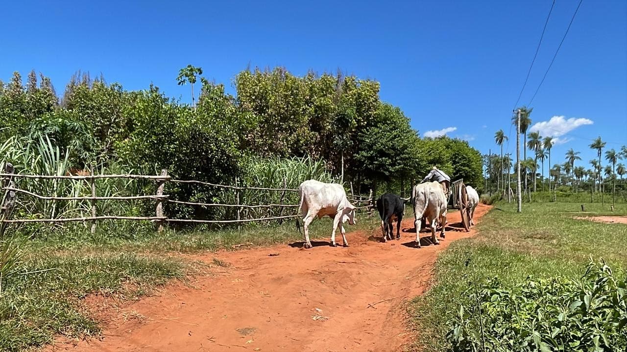 Vendo 1,5 hectáreas en Piribebuy