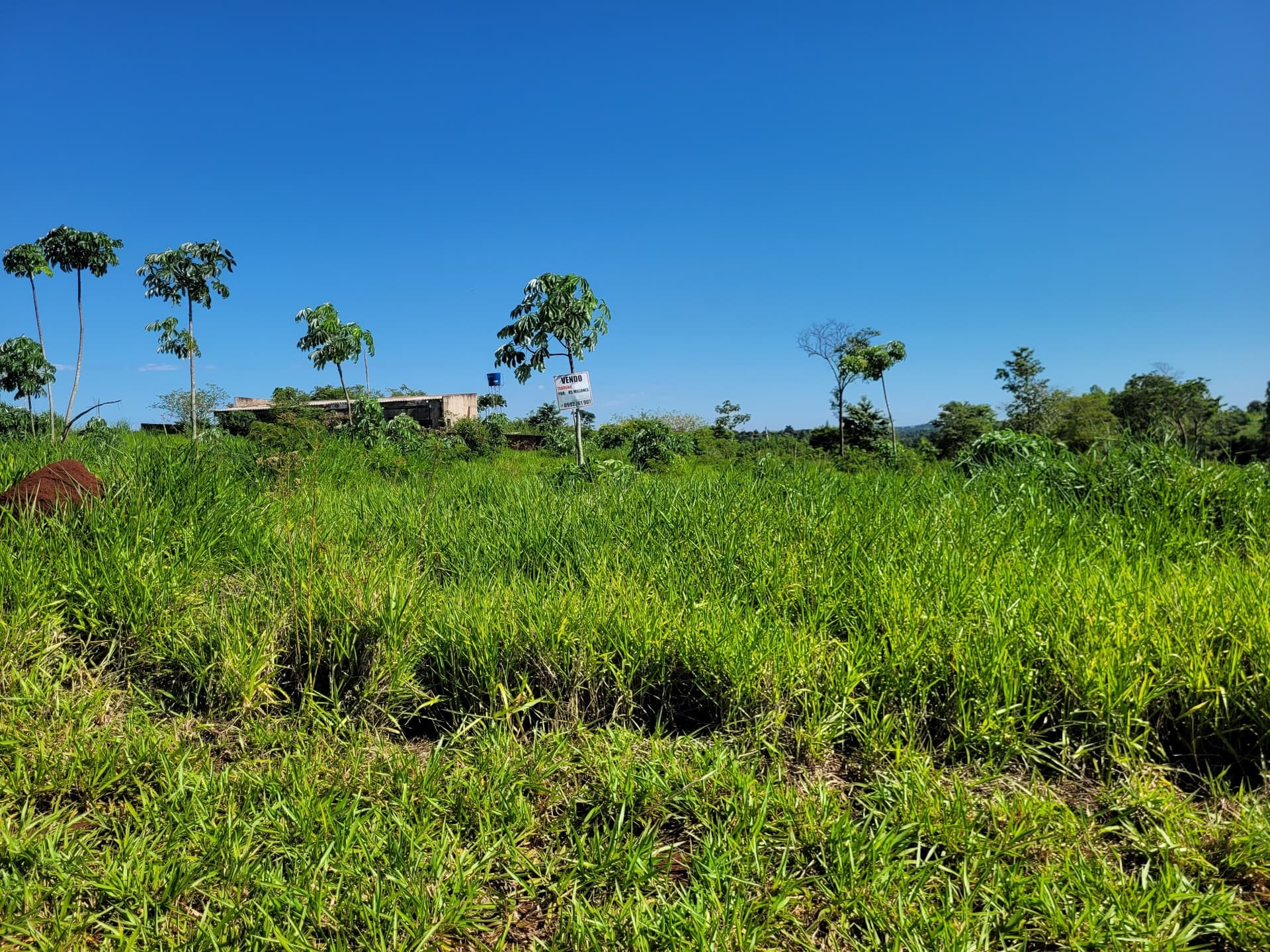Vendo Terreno Km 12 Acaray CDE Por: 45 Millones Esta a 6 Km De La Ruta N 2