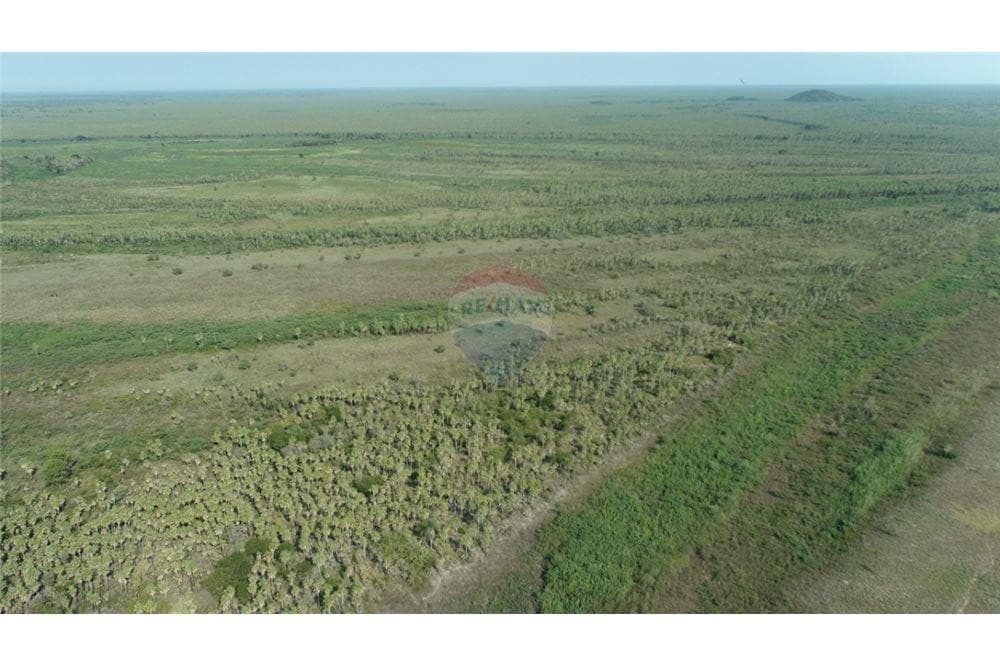 Estancia en carmelo peralta - alto paraguay