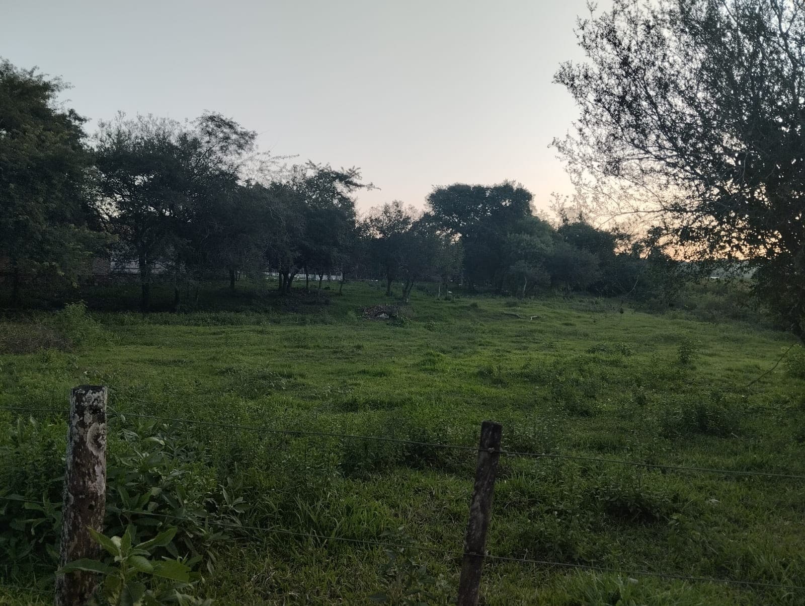 Costa Sosa,Luque: Venta sobre asfalto, dos terrenos estratégicos de 7.714 m2 y 10.320 m2