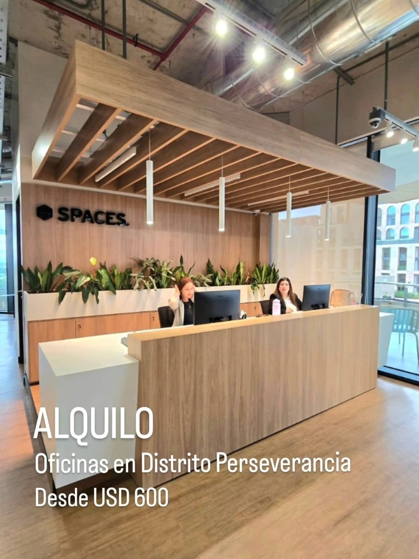 Alquilo oficinas en distrito perseverancia