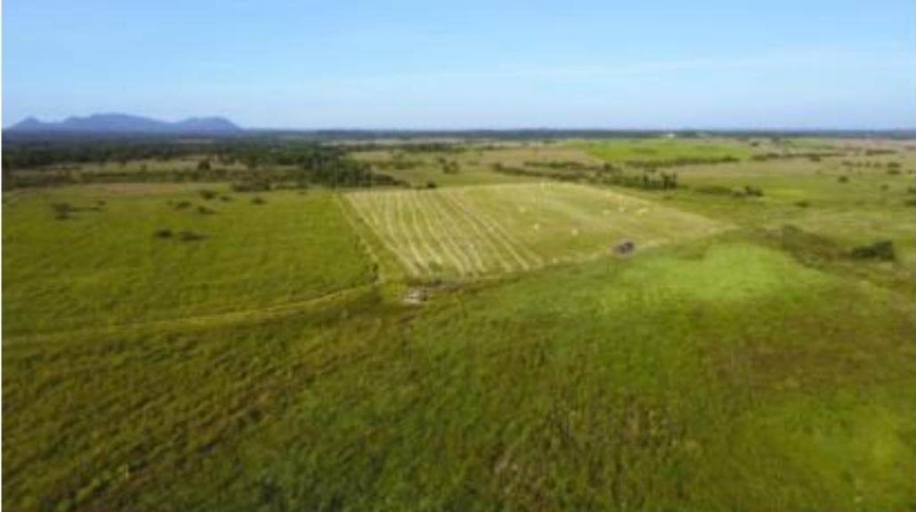 Vendo Campo Ganadero de 370 hectareas a Tranquera Cerrada, Dpto de Cordillera. COD 002